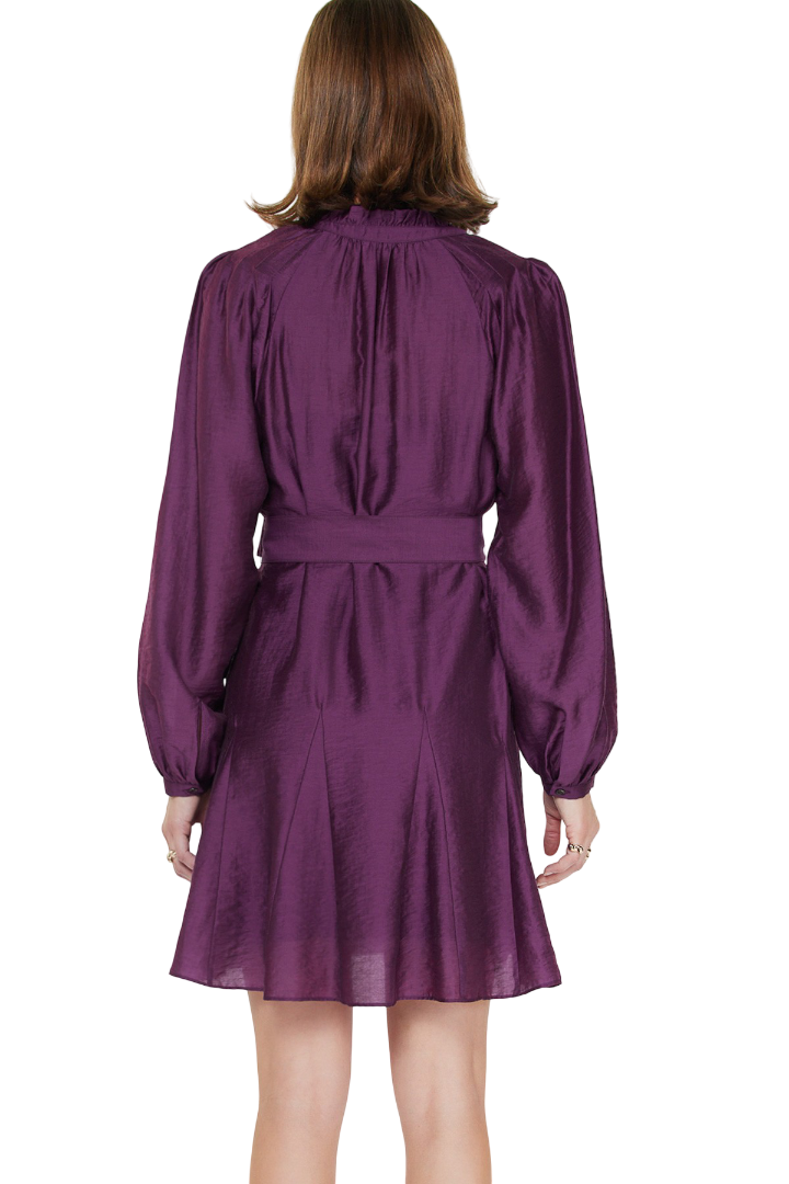 Calissa Dress