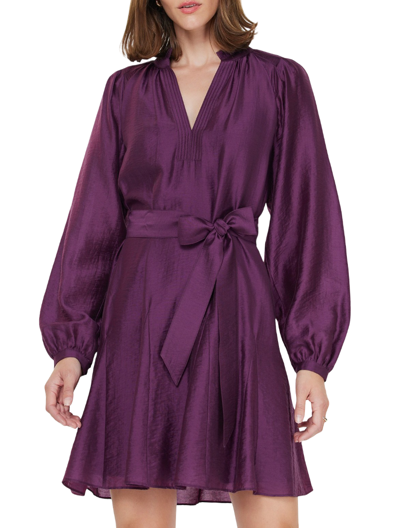 Calissa Dress